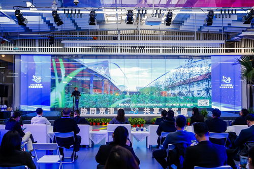 今起通武廊捧出 冬奧 文化體驗(yàn) 等15場文化活動