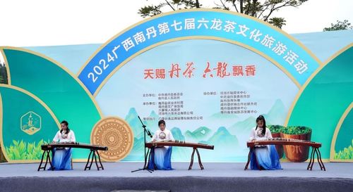 歌聲悠揚 茶韻飄香 南丹第七屆六龍茶文化旅游活動開幕