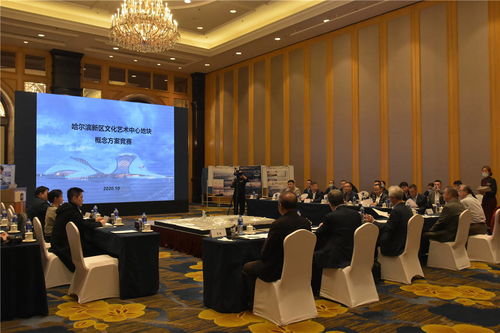 哈爾濱新區文化藝術中心項目建設邁出重要步伐 規劃設計招標圓滿完成，文化藝術交流活動蓄勢待發